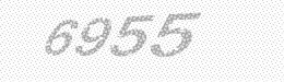 Visual security code — type the characters shown in the image